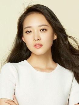 山河同在演员,演绎家国情怀的演员群像