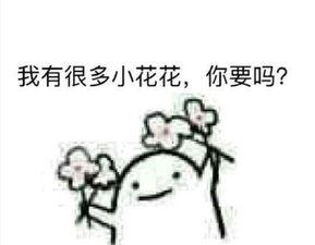 看花了眼表情包