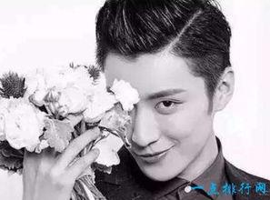 中国男明星人气排行榜,盘点当红炸子鸡